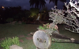 Jardim com Cascata ao Fundo