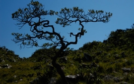 Serra do Cipó