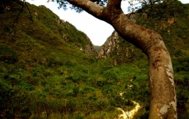 Serra do Cipó